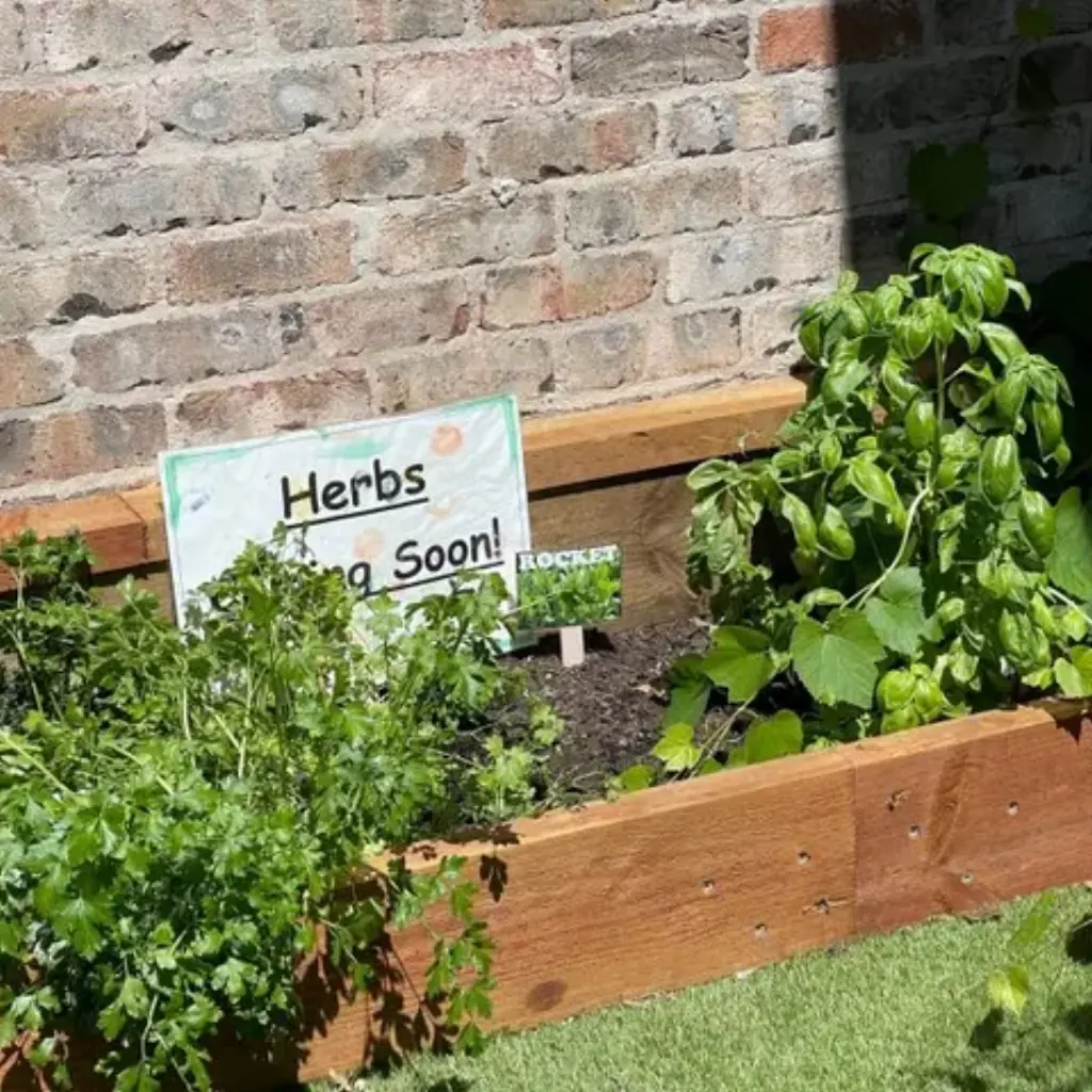Blossoms Academy post: the herb garden bed against the brick wall